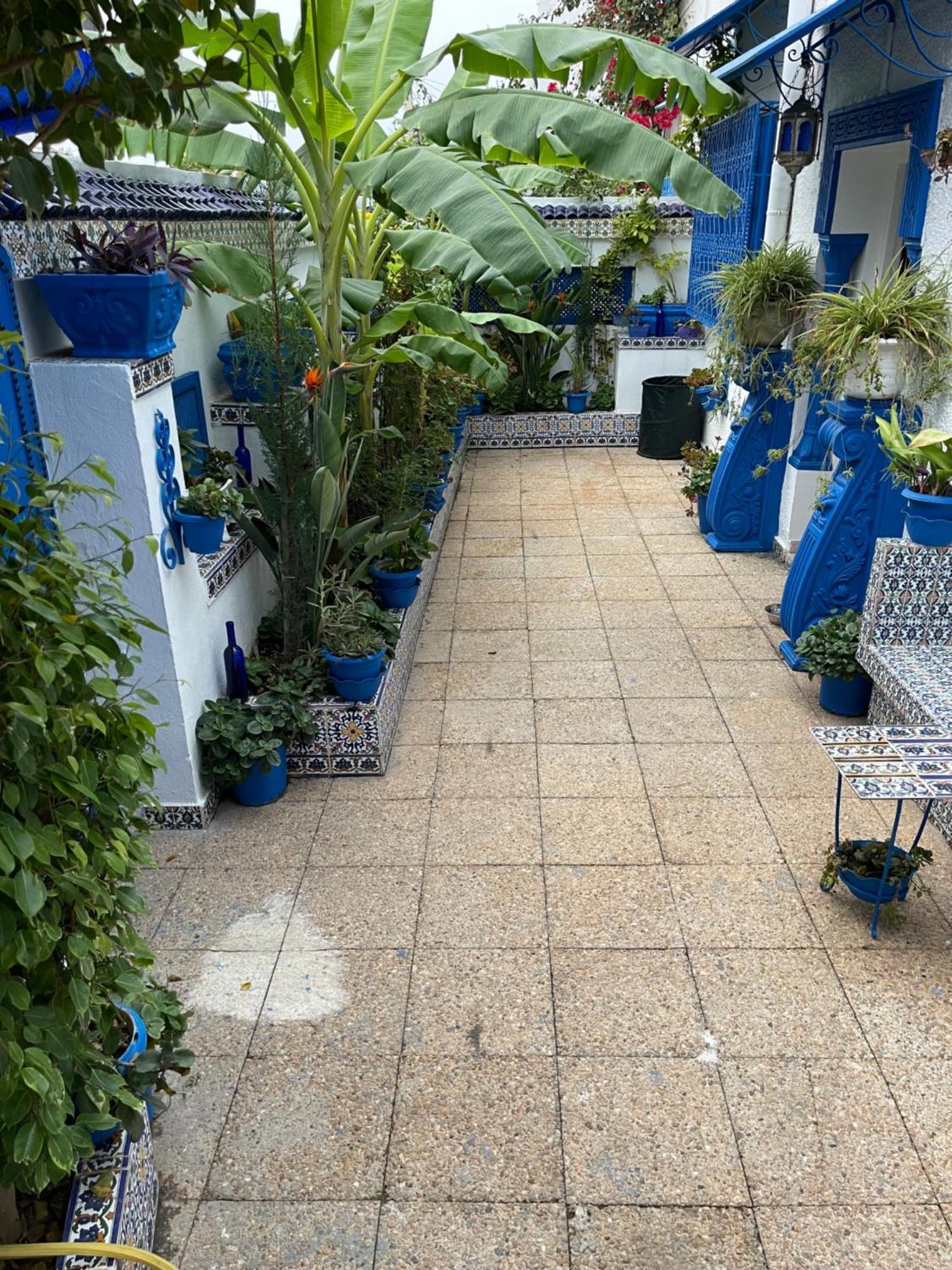 فيلا The Blue And White Perle سيدي بو سعيد المظهر الخارجي الصورة