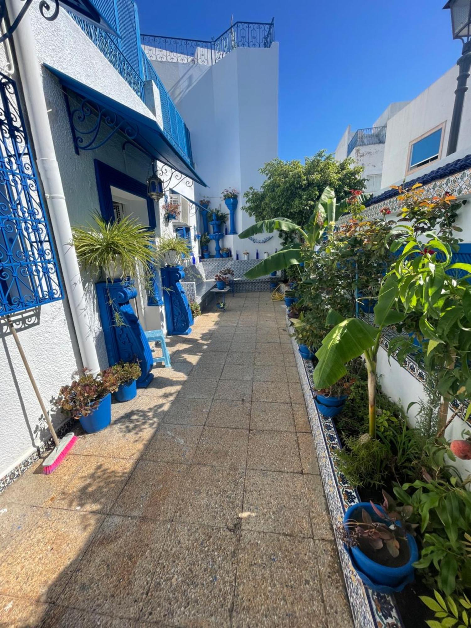فيلا The Blue And White Perle سيدي بو سعيد المظهر الخارجي الصورة