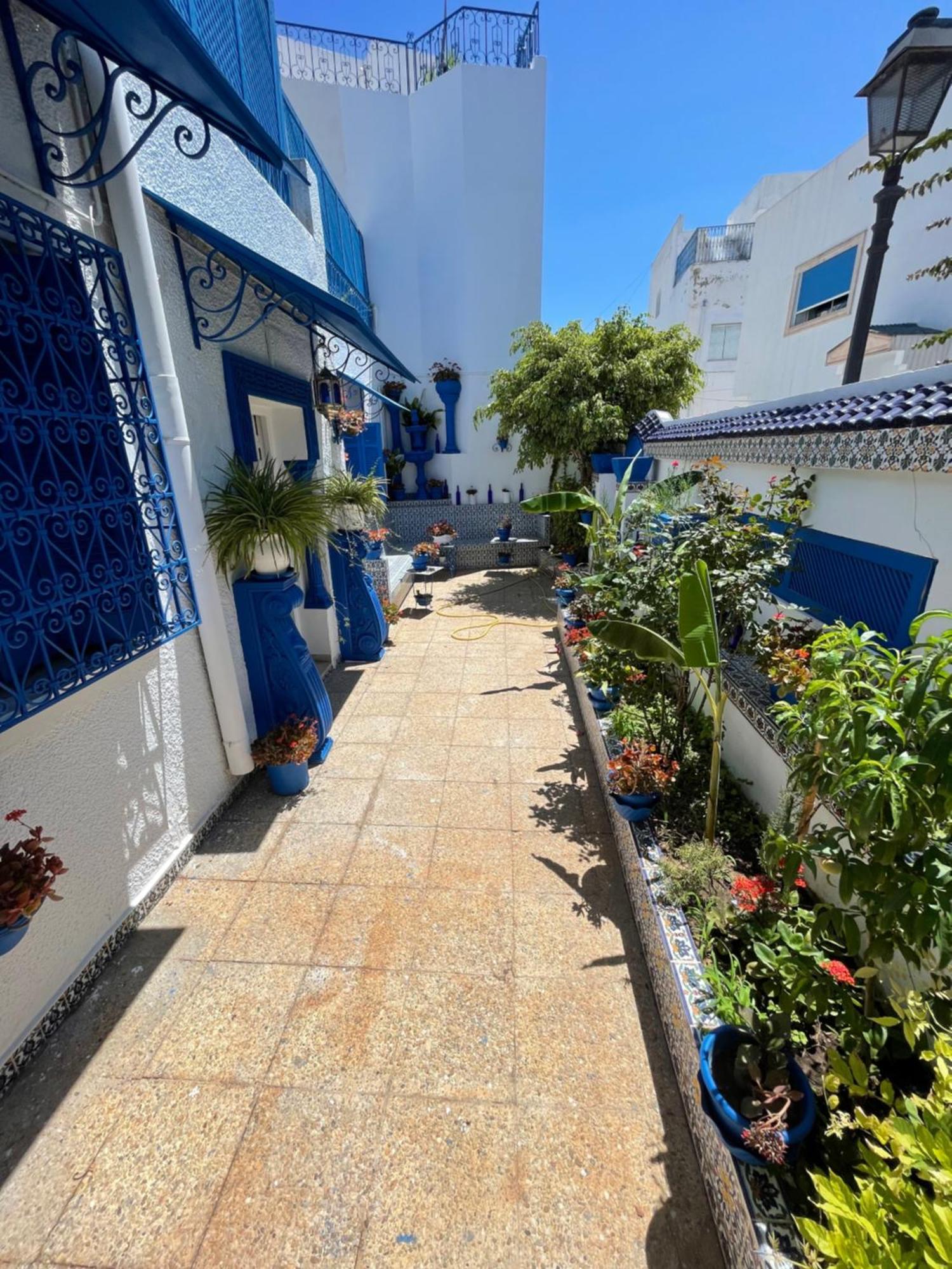 فيلا The Blue And White Perle سيدي بو سعيد المظهر الخارجي الصورة
